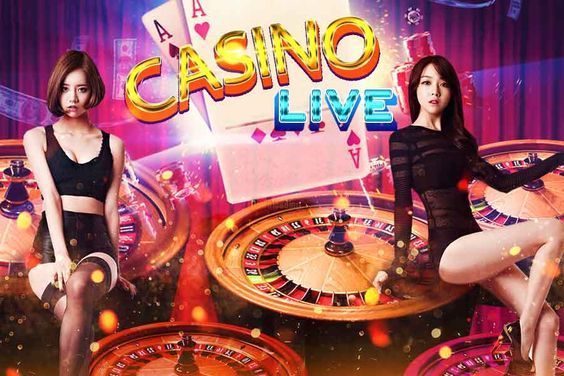 Vivo Gaming Live Betting